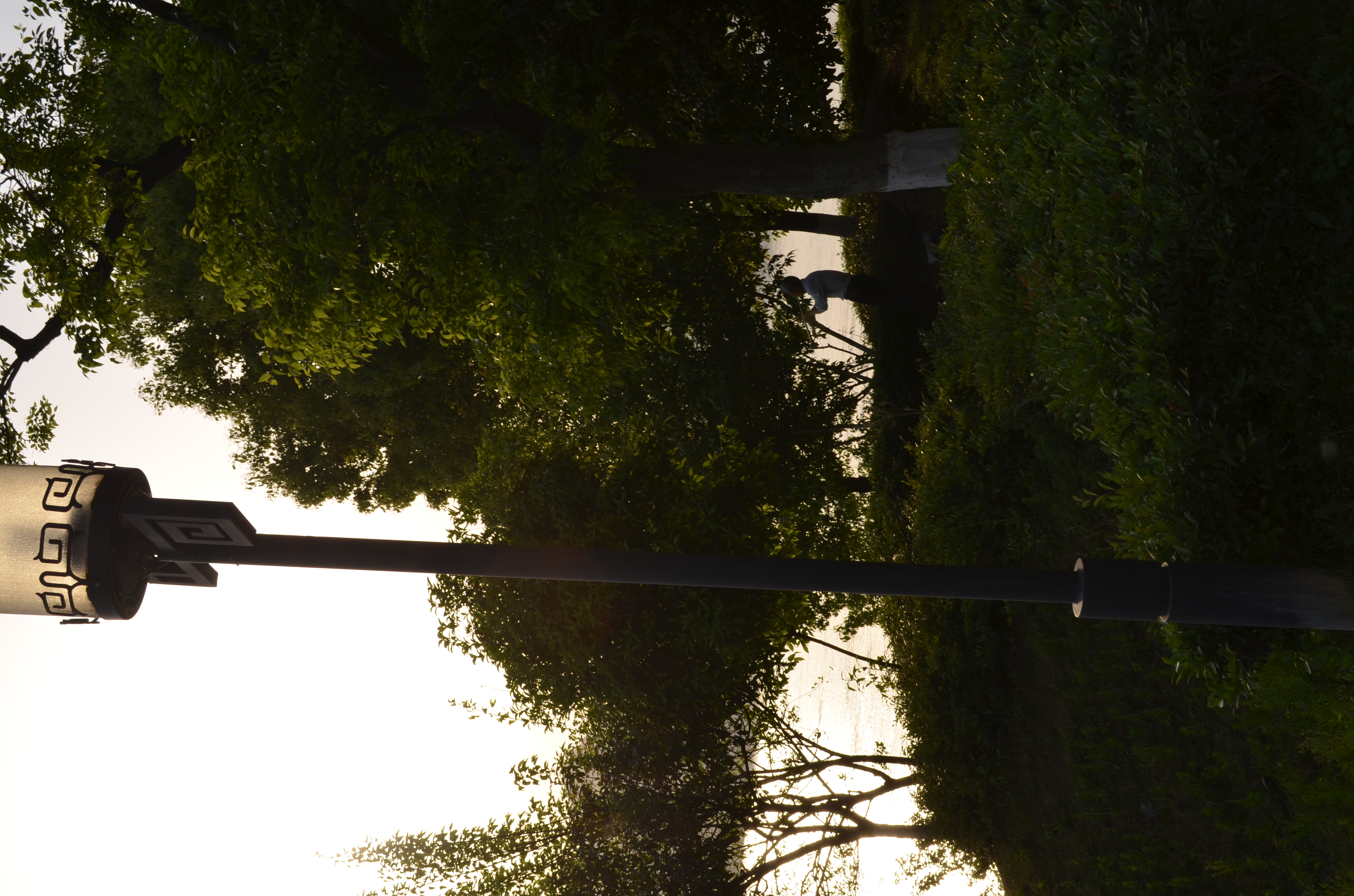 ./2018/03 - Viking China/18 - YiChang/DSC_0971.JPG